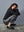 I SAY Barbel Blouse Blouses H87 Black w/Silver